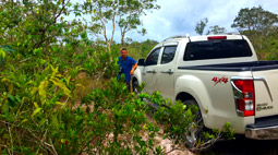 4 Wheel Drives Giant Face Mountain