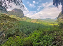 Khao Lak: Hidden Temples