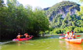 Cave Temple and Mangrove Kayaking Day Trip