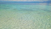 Charter Longtail Boat to Pearl Island : JC Tour
