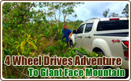 4 Wheel Drives Adventure to Giant Face Mountain
