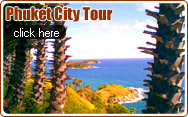 Phuket City Tour