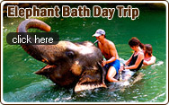 Elephant Bath Day Trip