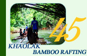 Khaolak Bamboo Rafting