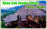Khaosok Jungle Safari 2Days 1Night