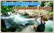 Khaosok Mysterious Trekking Jungle Day Trip