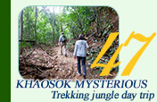 Khaosok Mysterious Trekking Jungle