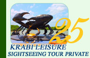 Krabi Leisure Sightseeing Tour Private
