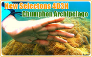 New Selectons: Chumphon Archipelago