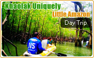 Khaolak Uniquely Little Amazon