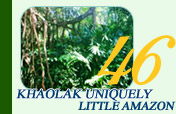Khaolak Uniquely Little Amazon