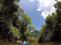 Nature Discovery :  Khao Sok