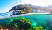 PP Bamboo Island by Speed Boat