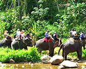 Pungchang Cave and Rafting Trip