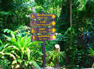 Phuket Safari Concern by JC Tour