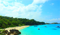 Similan Island by Speed Boat