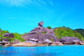 Similan Island by Speed Boat