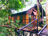 3 Days 2 Nights Khao Sok+Chiewlarn Lake